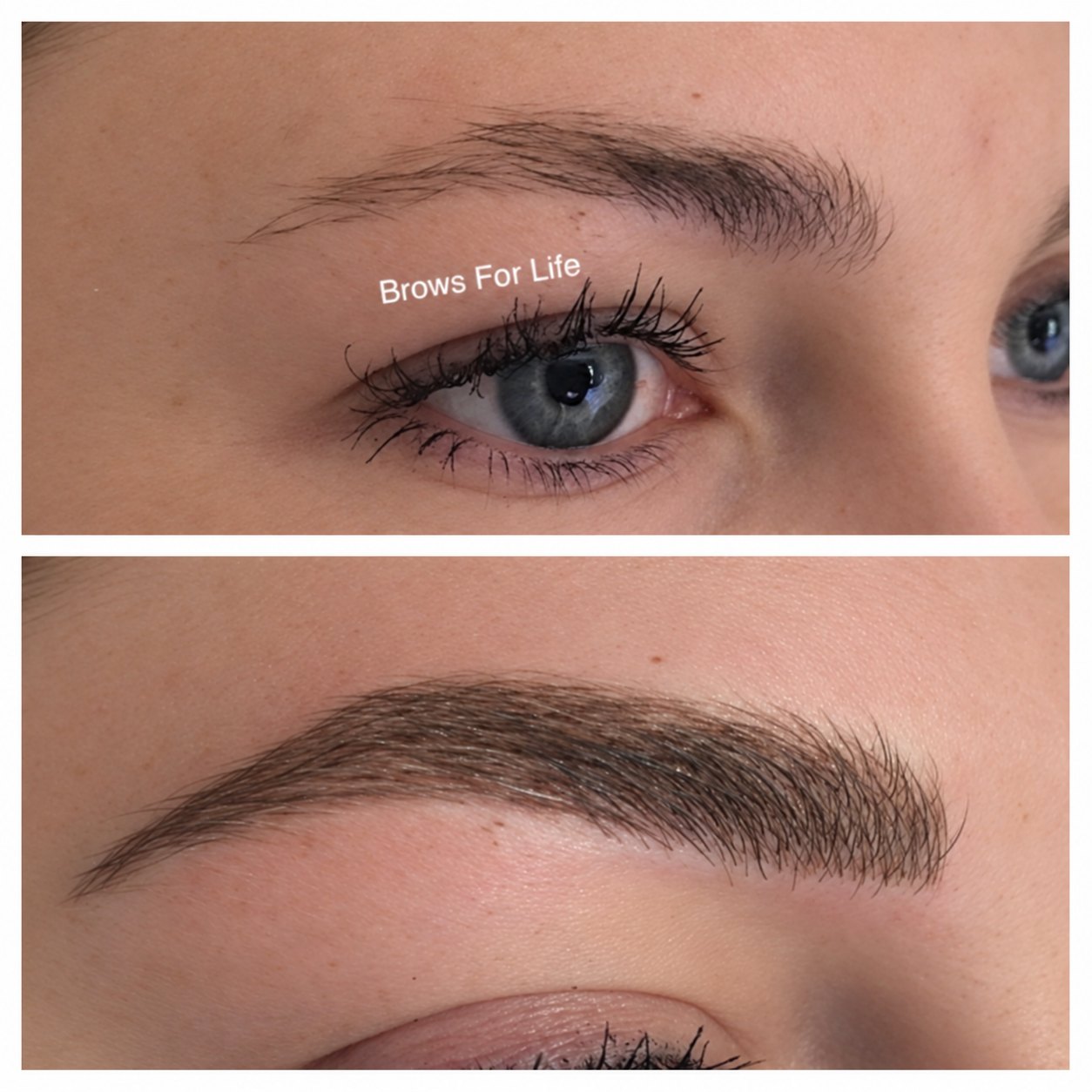 Microblading before (top) and after (bottom) on a Brows For Life client, photo 11