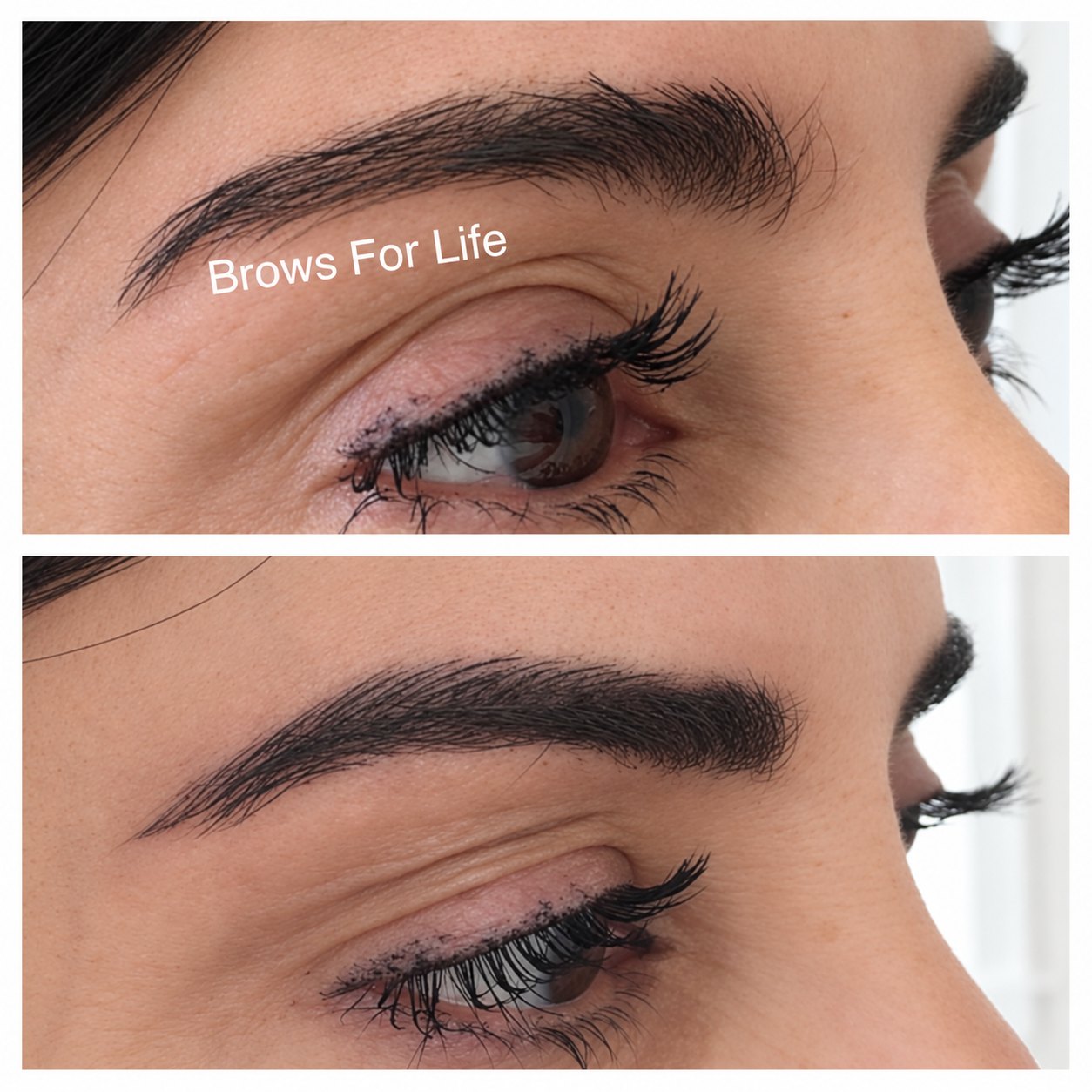 Microblading before (top) and after (bottom) on a Brows For Life client, photo 19